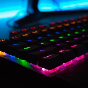 Meet your Posher, Hammie